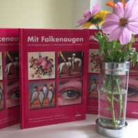 Falkenaugen_Cover